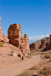 Similar image 1654949