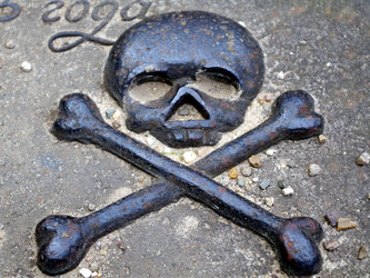 Similar image 1655219