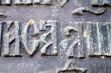 Similar image 1655222