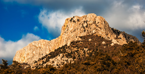 Similar image 1655420