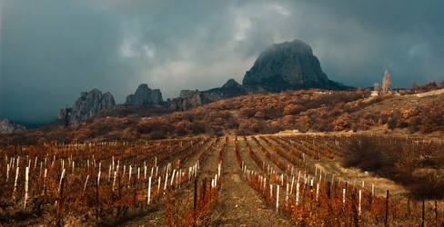 Similar image 1655422