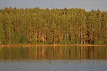 Similar image 1655427