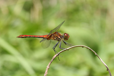 Similar image 1655428