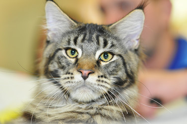 Similar image 1655429