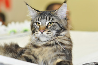 Similar image 1655430