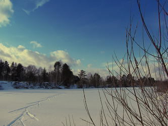 Similar image 1655434