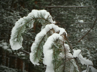 Similar image 1655435