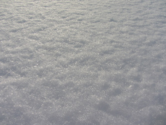 Similar image 1655438