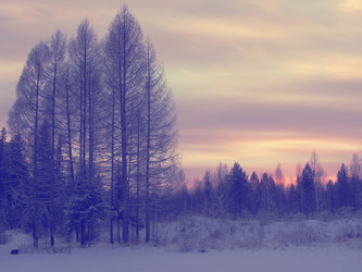 Similar image 1655439