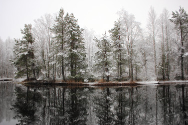 Similar image 1655458