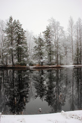 Similar image 1655459