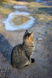 Similar image 1655460