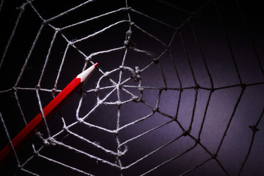 Similar image 1655485