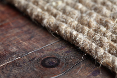 Similar image 1655486