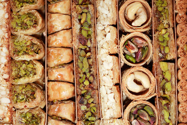 Similar image 1655489