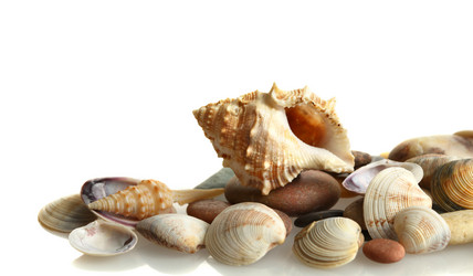 Similar image 1655490