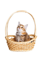 Similar image 1655499