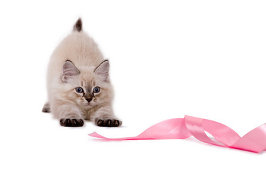 Similar image 1655502