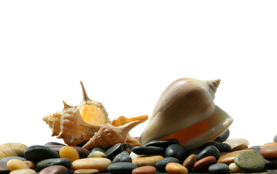 Similar image 1655506