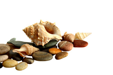 Similar image 1655507