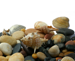 Similar image 1655508