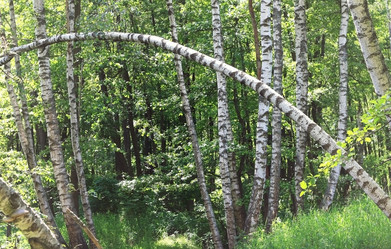 Similar image 1655525