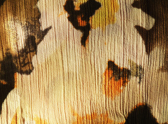 Similar image 1655526