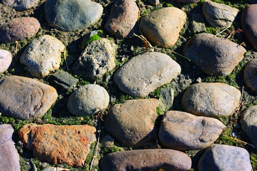 Similar image 1655537