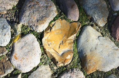 Similar image 1655538