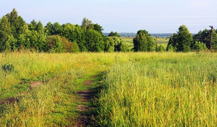 Similar image 1655540