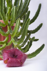 Similar image 1655755