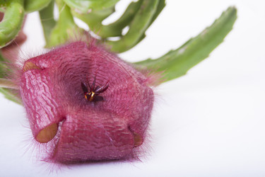 Similar image 1655756