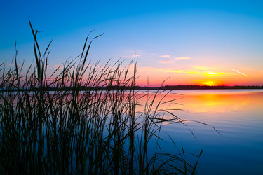 Similar image 1655769