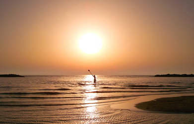 Similar image 1655771