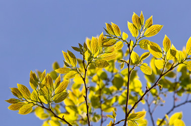 Similar image 1655773