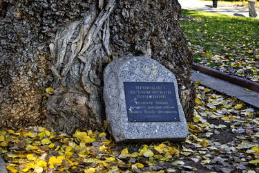 Similar image 1655820