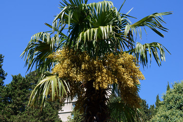 Similar image 1655831