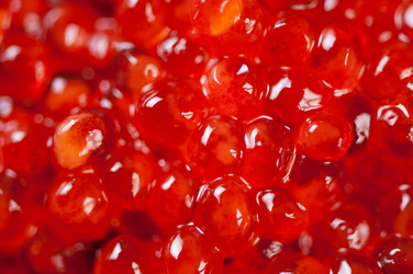 Similar image 1655836