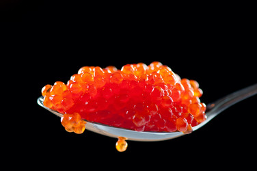 Similar image 1655838