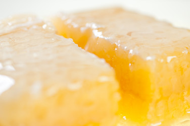 Similar image 1655849