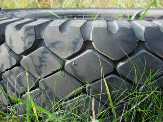 Similar image 1655946