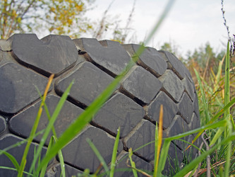 Similar image 1655949