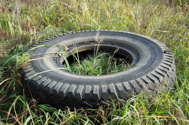 Similar image 1655950