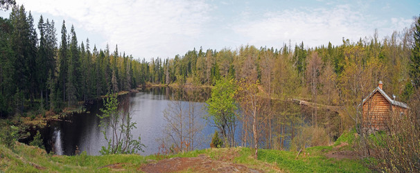 Similar image 1655961