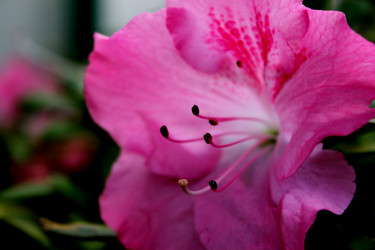 Similar image 1656004