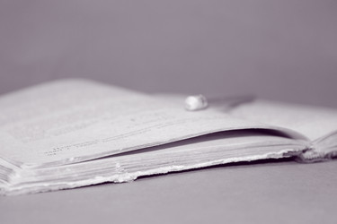 Similar image 1656005