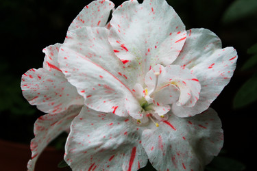 Similar image 1656006