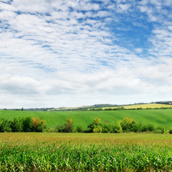 Similar image 1656007