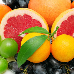 Similar image 1656012