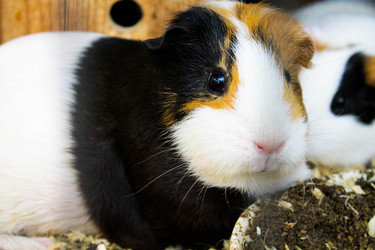 Similar image 1656041